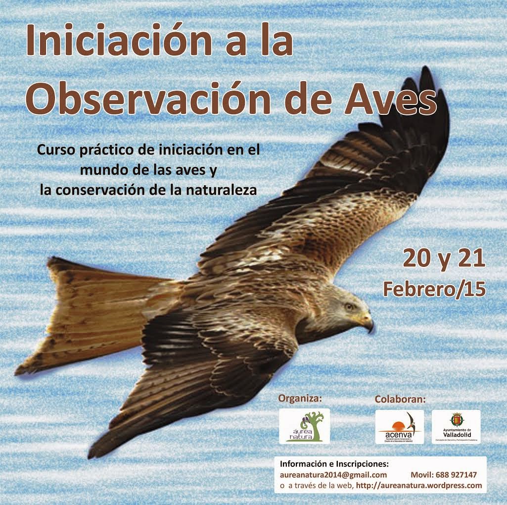 Curso de Iniciación a la Observación de Aves